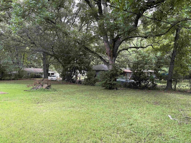 100 E Lincoln Ave, Searcy, AR 72143 - view of green lawn