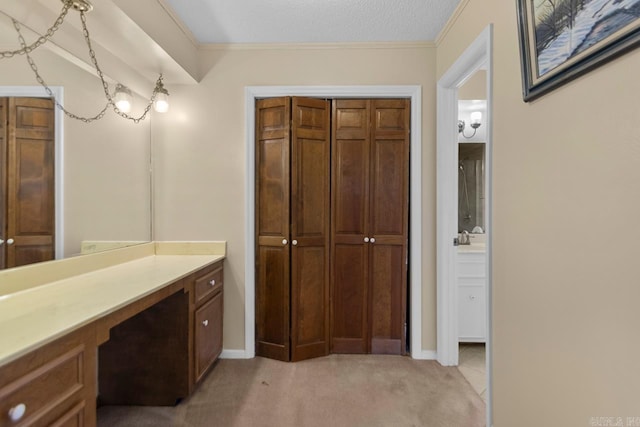 12605 Janelle Ct, Little Rock, AR 72205 - bathroom with vanity, ornamental molding, and a closet