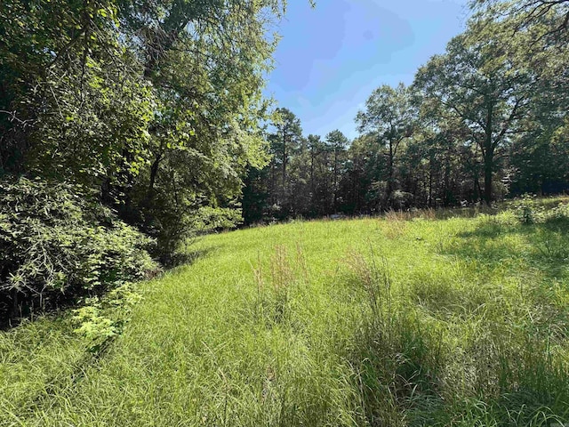 TRACT1 Waterside Dr, Conway, AR 72032