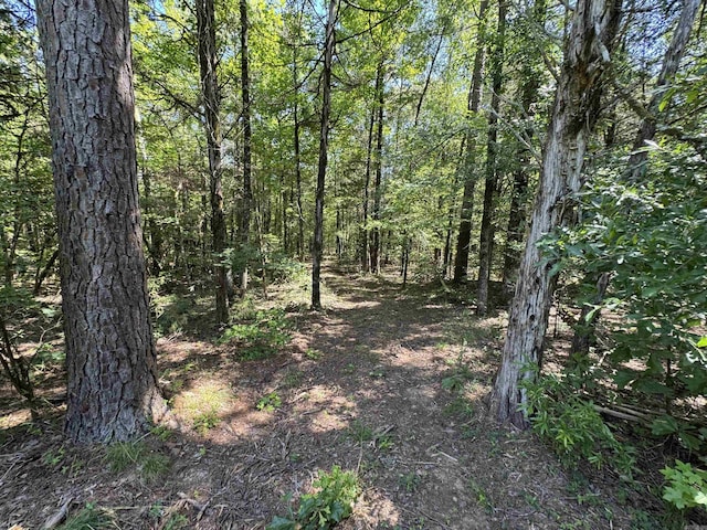 TRACT1 Waterside Dr, Conway, AR 72032