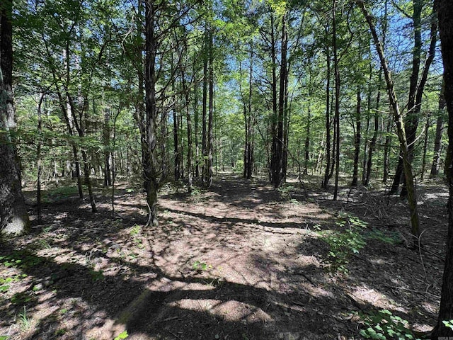 TRACT1 Waterside Dr, Conway, AR 72032