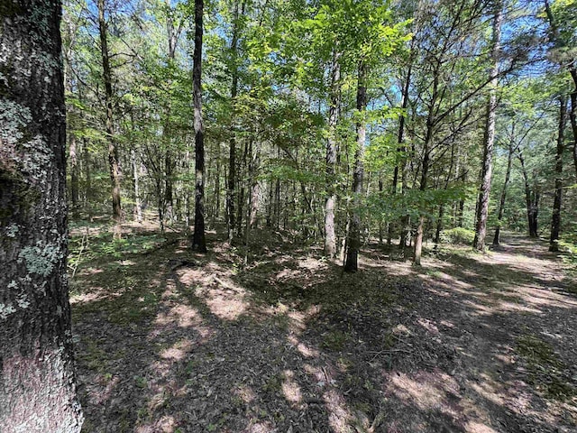 TRACT1 Waterside Dr, Conway, AR 72032