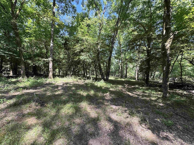 TRACT1 Waterside Dr, Conway, AR 72032