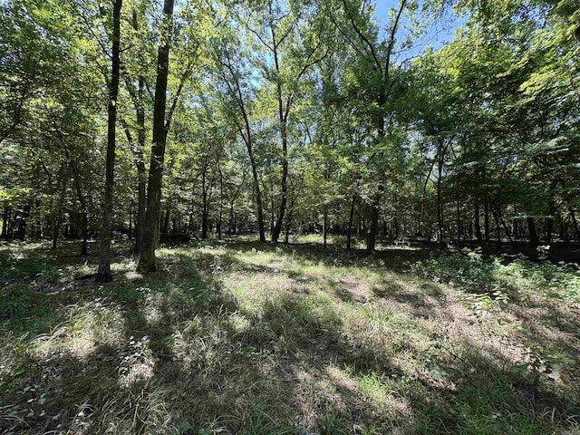 TRACT1 Waterside Dr, Conway, AR 72032