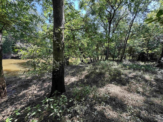 TRACT1 Waterside Dr, Conway, AR 72032