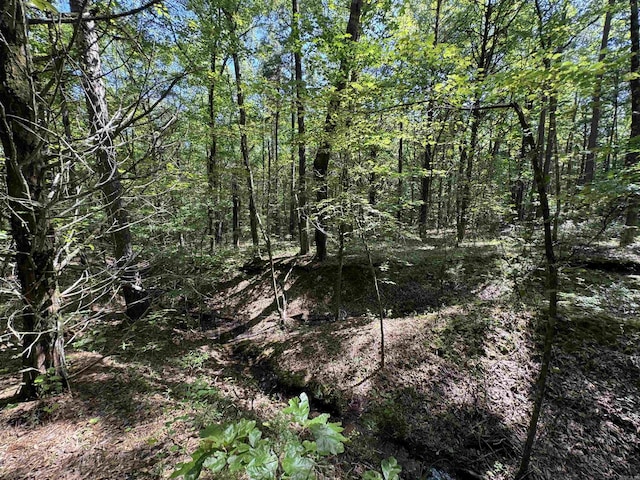 TRACT1 Waterside Dr, Conway, AR 72032