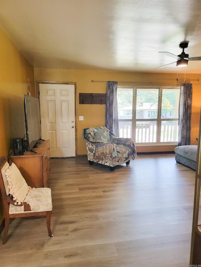 1209 Cole Ave, Mena, AR 71953 - living area featuring wood finished floors and ceiling fan