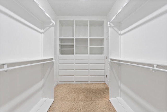 930 Enderlin, Conway, AR 72034 - spacious closet featuring carpet flooring