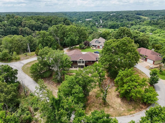 13518 Pikes Peak Pl, Rogers, AR 72756 - aerial view of a forest
