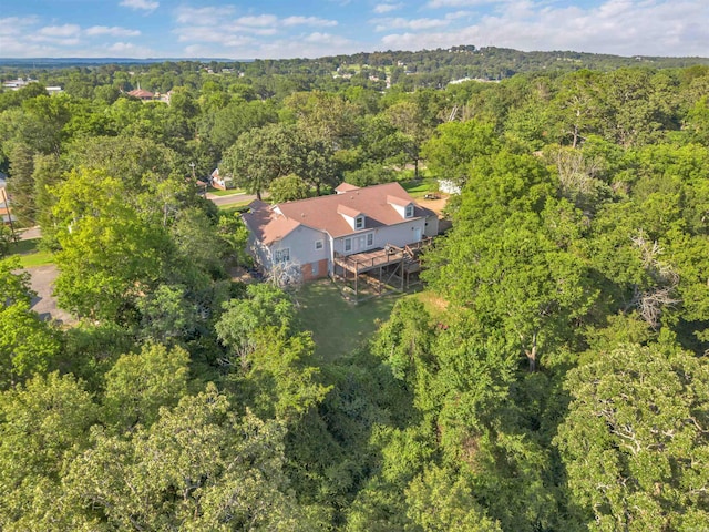 410 E Green St, Morrilton, AR 72110 - view of subject property with a heavily wooded area