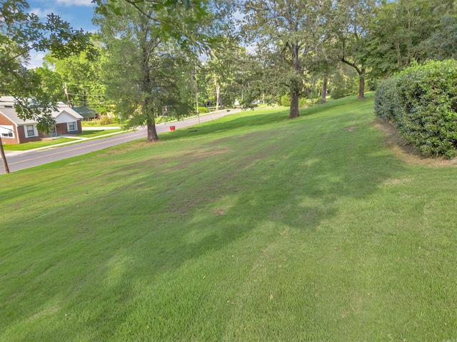 410 E Green St, Morrilton, AR 72110 - view of green lawn featuring view of wooded area