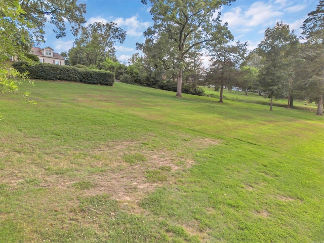 410 E Green St, Morrilton, AR 72110 - view of green lawn