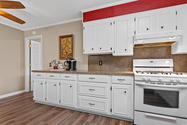 31 Deerfield Dr, Sherwood, AR 72120 - kitchen with gas range gas stove, under cabinet range hood, crown molding, white cabinetry, and a ceiling fan