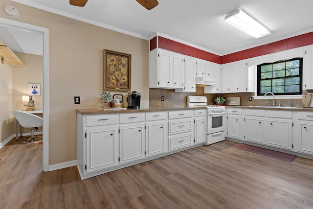 31 Deerfield Dr, Sherwood, AR 72120 - kitchen featuring gas range gas stove, wood finished floors, white cabinetry, under cabinet range hood, and a ceiling fan