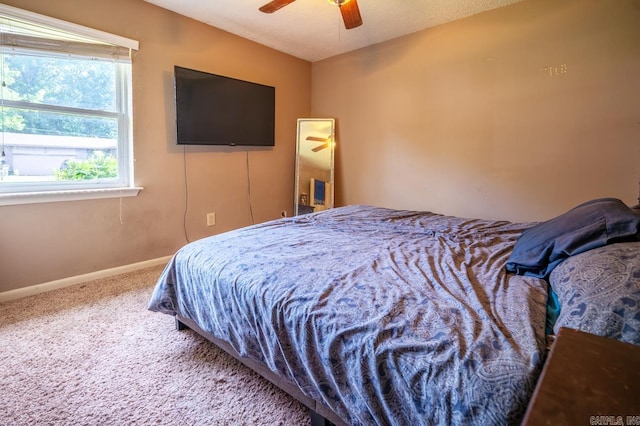 15 Glade Rd, Sherwood, AR 72076 - bedroom with carpet floors, multiple windows, and a ceiling fan