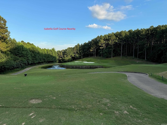 3 Ponce De Leon, Hot Springs Village, AR 71909