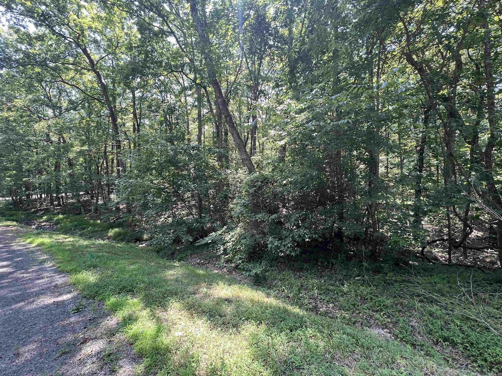 00 Castle Arms Pl, Fairfield Bay, AR 72088