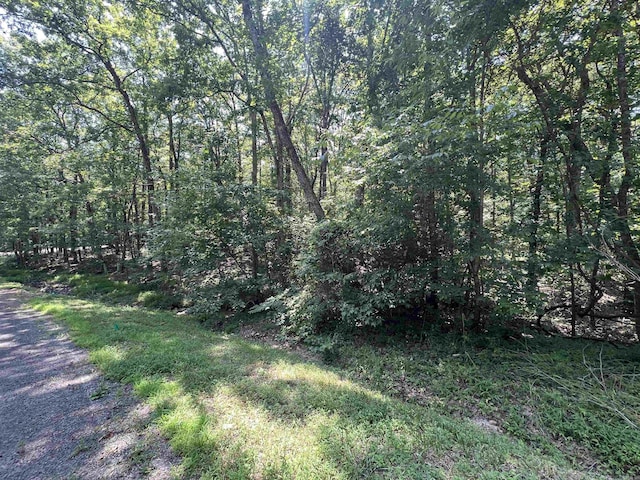 00 Castle Arms Pl, Fairfield Bay, AR 72088