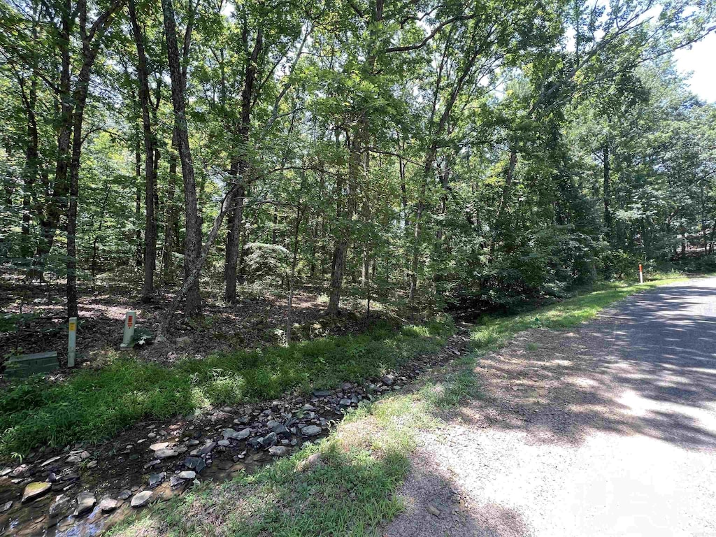 00 Castle Arms Pl, Fairfield Bay, AR 72088