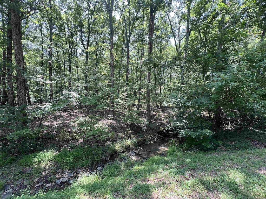00 Castle Arms Pl, Fairfield Bay, AR 72088