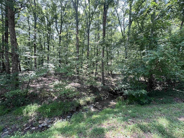 00 Castle Arms Pl, Fairfield Bay, AR 72088