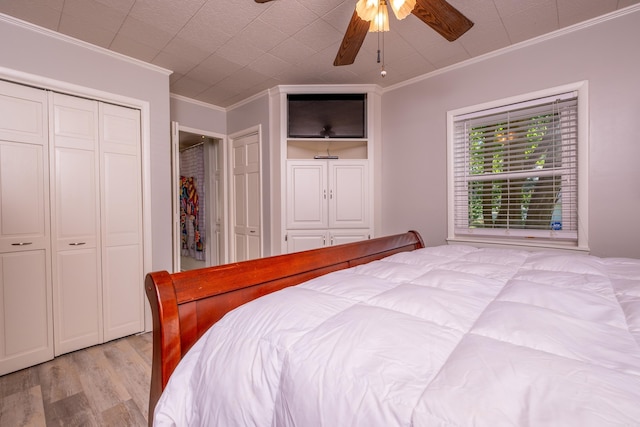4203 Glenda Ln, Benton, AR 72019 - bedroom with ornamental molding, light wood-style flooring, two closets, and ceiling fan