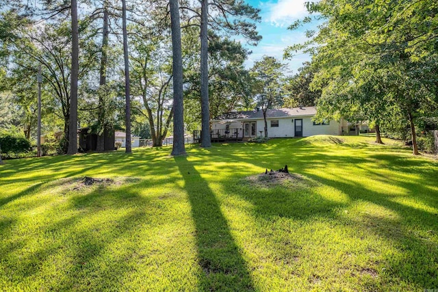 4203 Glenda Ln, Benton, AR 72019 - view of green lawn