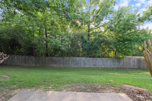 1410 Pyramid Dr, Conway, AR 72032 - view of fenced backyard
