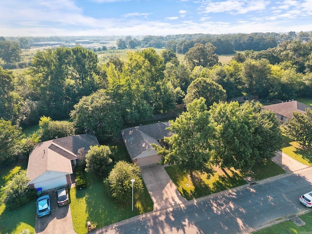 1410 Pyramid Dr, Conway, AR 72032 - aerial view