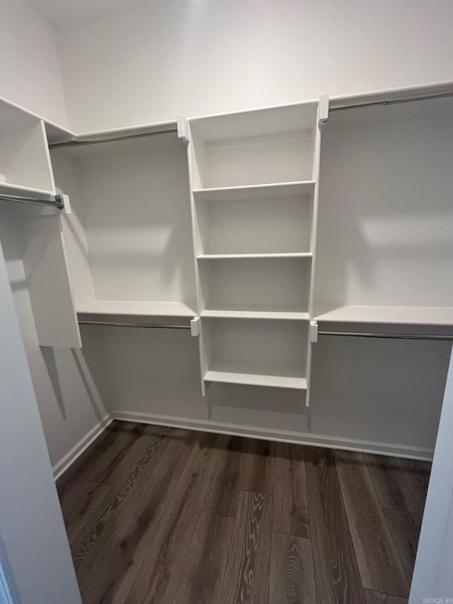 walk in closet with dark wood finished floors