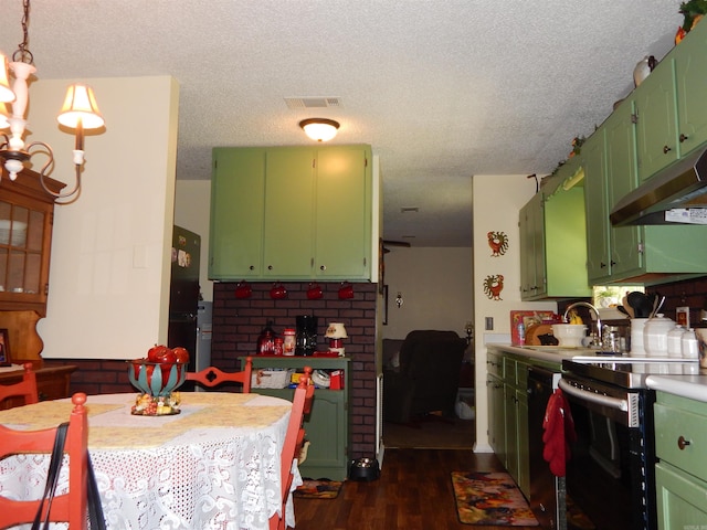 155 N Ridge Rd, Heber Springs, AR 72543 - kitchen featuring electric range, green cabinets, under cabinet range hood, a textured ceiling, and dark wood-type flooring