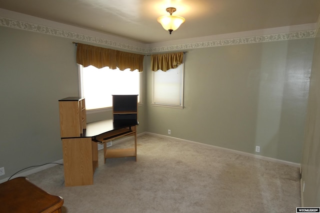 unfurnished office featuring light colored carpet