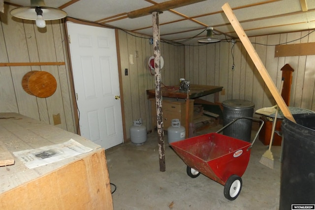 basement with wood walls