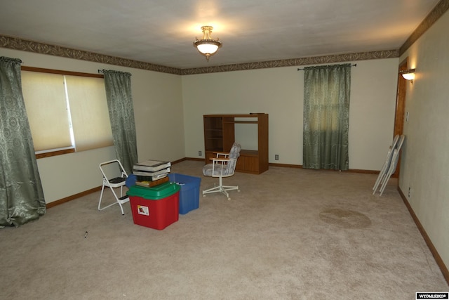 interior space with carpet flooring