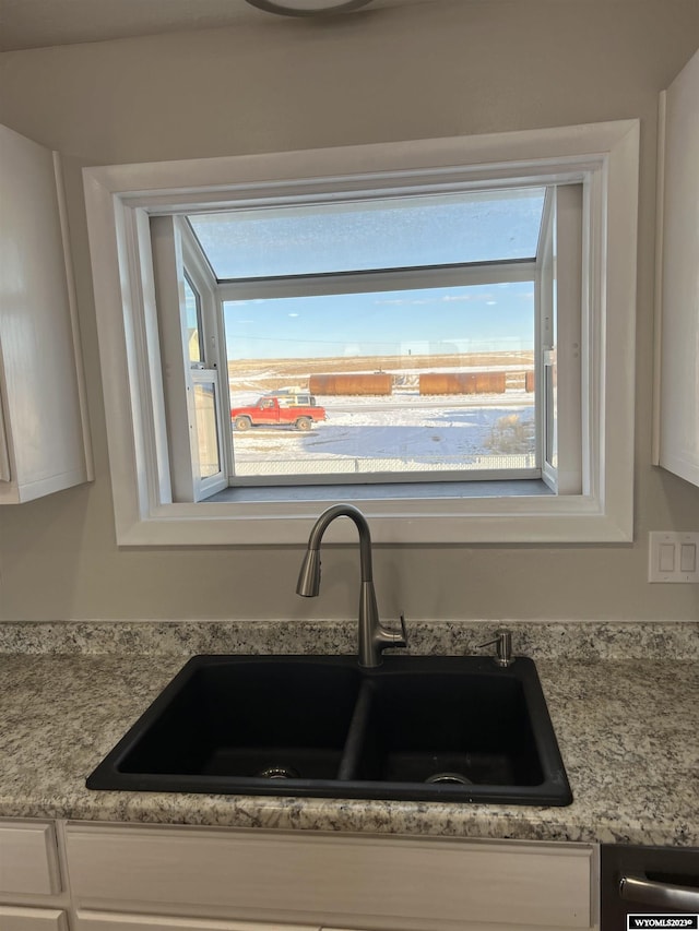 details with light stone countertops, white cabinetry, and sink