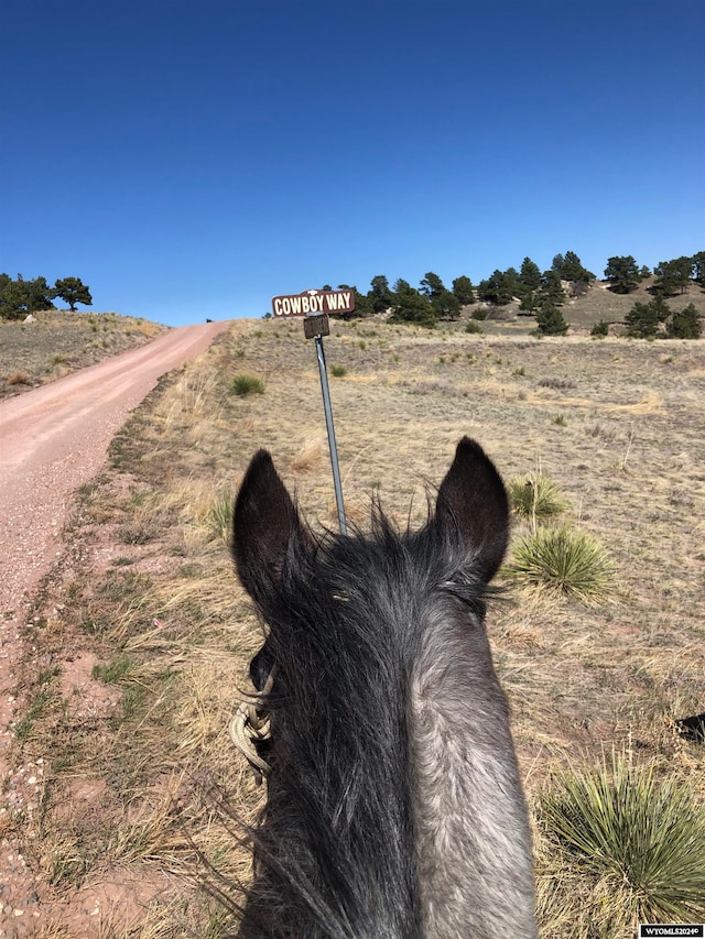 Listing photo 2 for LOT53 Cowboy Way, Fort Laramie WY 82212