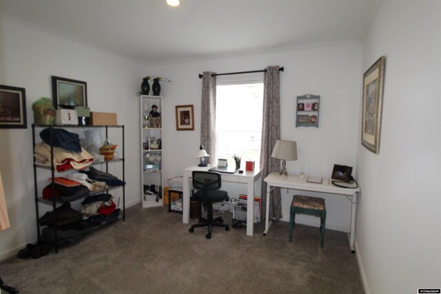 office area featuring dark carpet