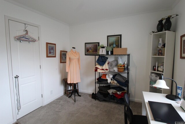 misc room featuring light carpet and ornamental molding