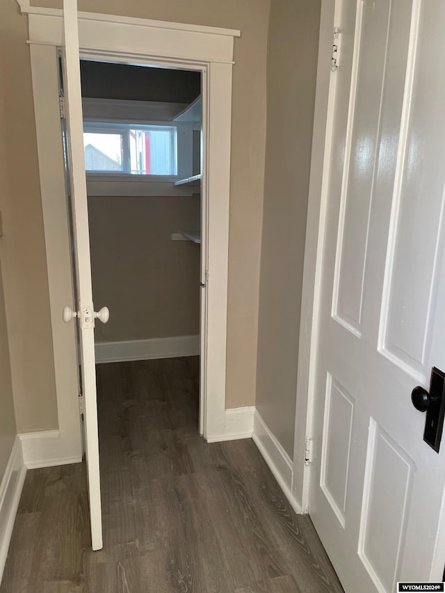 hall featuring dark hardwood / wood-style floors