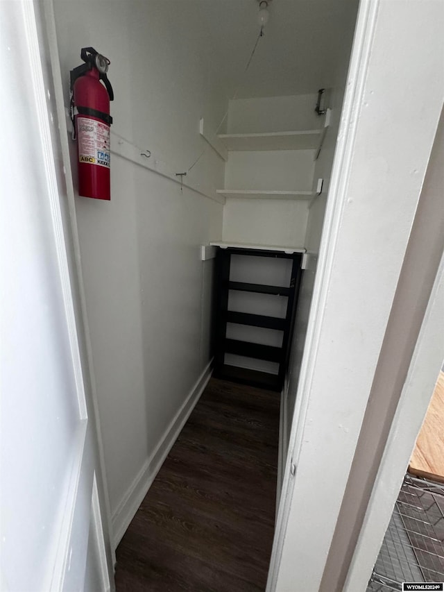 spacious closet with dark hardwood / wood-style floors