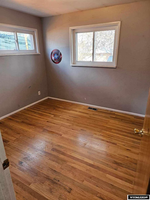 unfurnished room featuring a wealth of natural light and light hardwood / wood-style floors