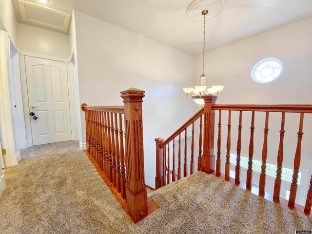 stairway featuring a notable chandelier and carpet floors