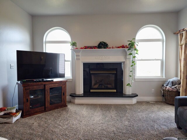 living room featuring carpet flooring