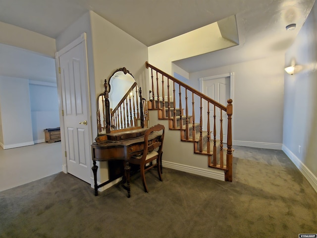 staircase featuring carpet floors