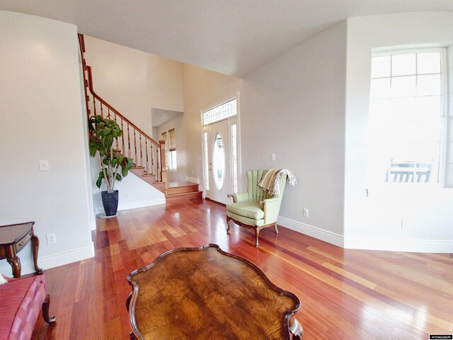 living room featuring wood-type flooring