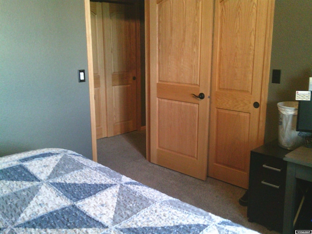 carpeted bedroom featuring a closet