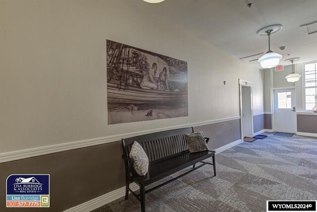 interior space with dark carpet