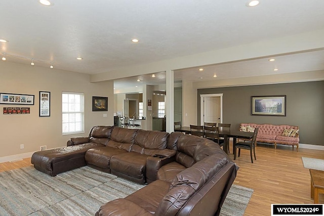 living room featuring light hardwood / wood-style flooring