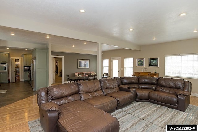 living room featuring wood-type flooring and plenty of natural light