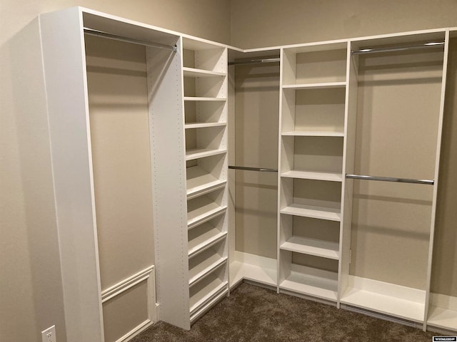 walk in closet with dark colored carpet